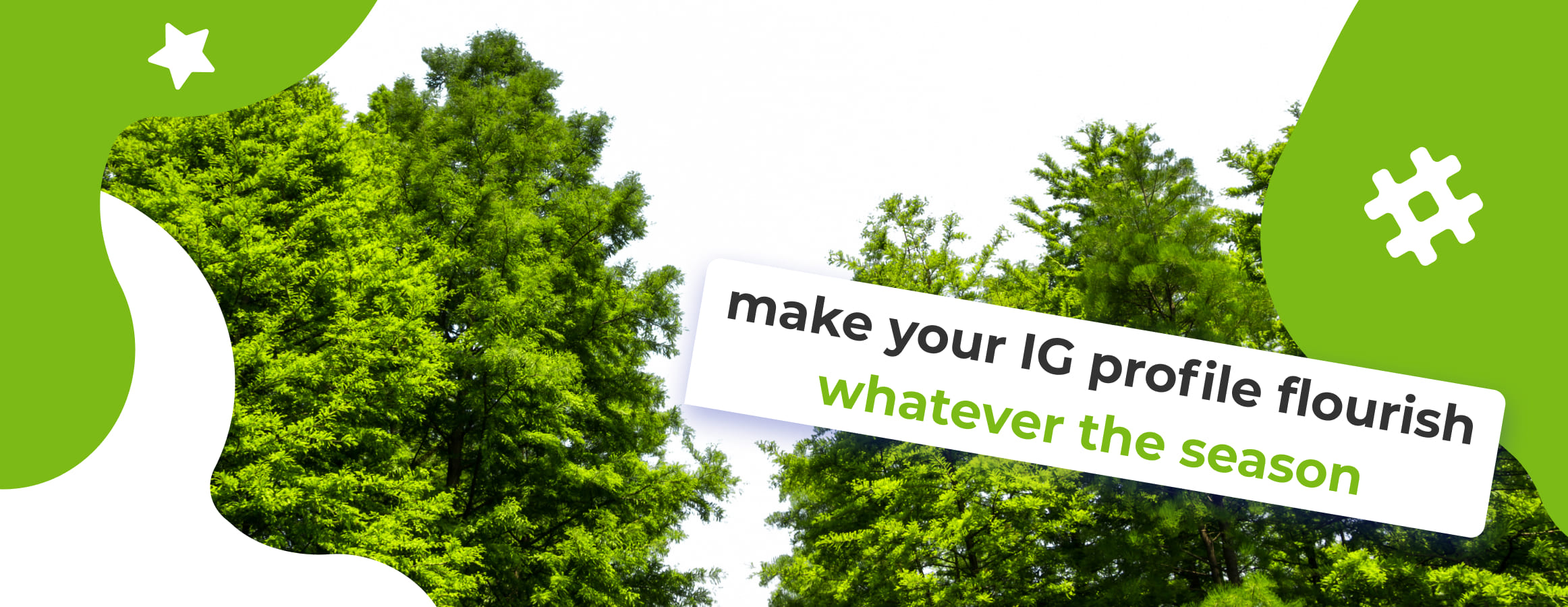 Evergreen Content Ideas for Your Instagram Account