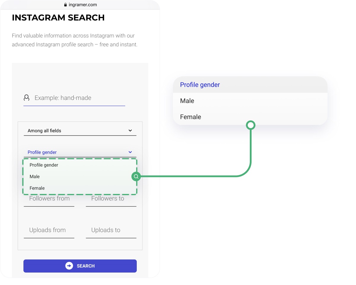 use Instagram Search