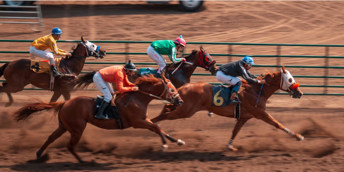 Horse Race