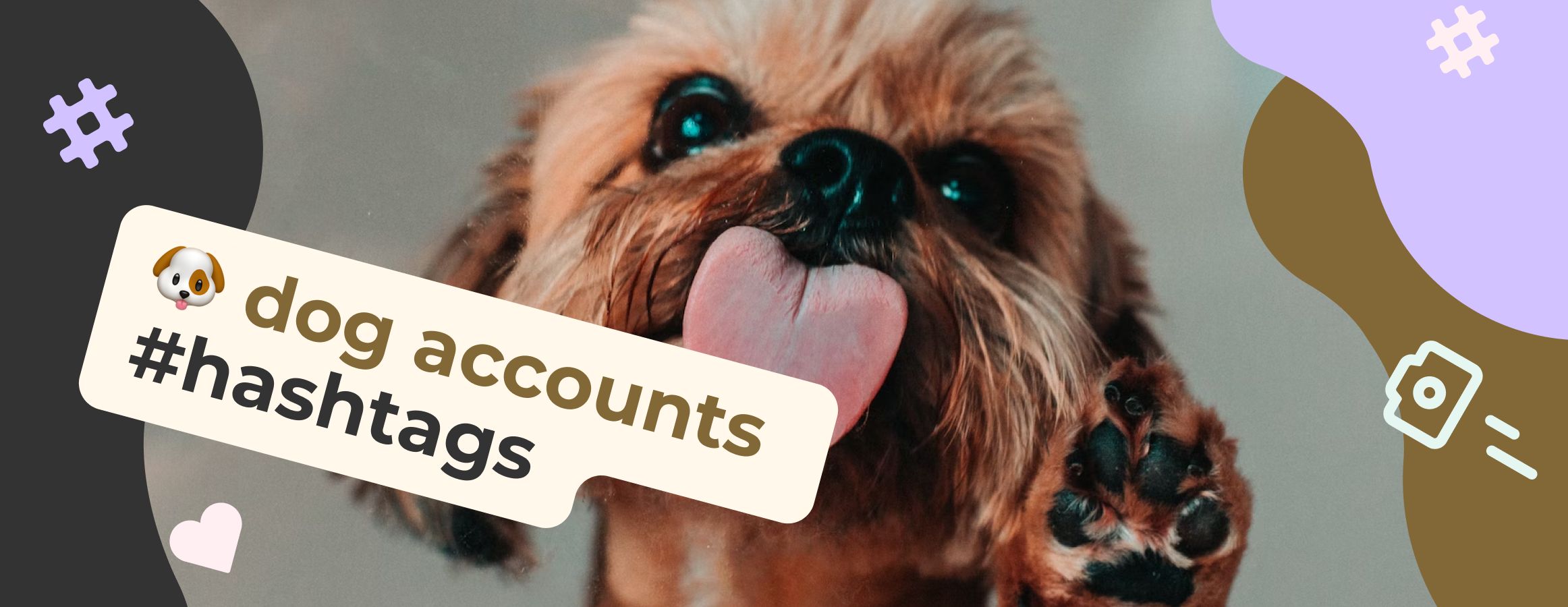 dog hashtags