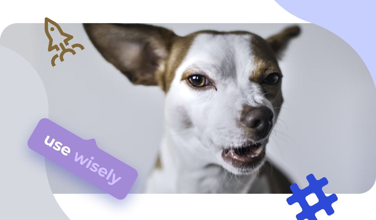 ig hashtags for dogs
