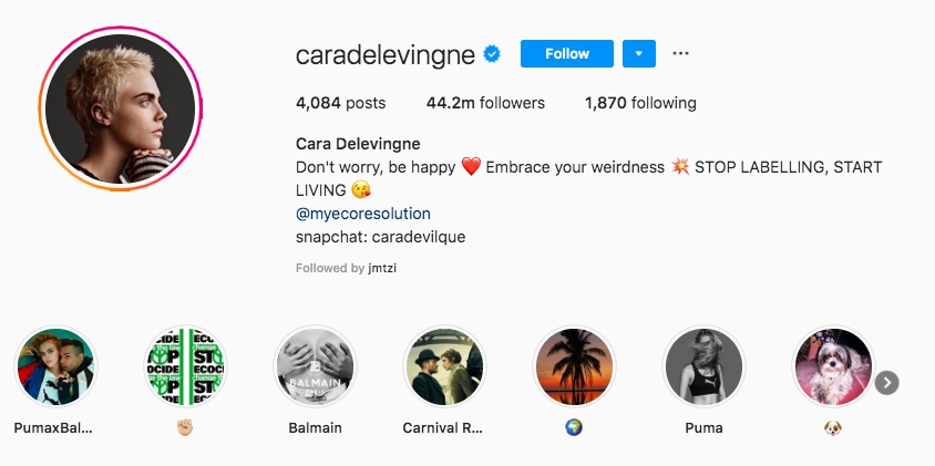 Cara Delevingne Instagram bio inspiraion