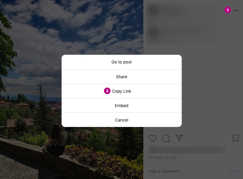 instagram downloader 2020