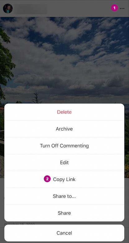 instagram downloader online