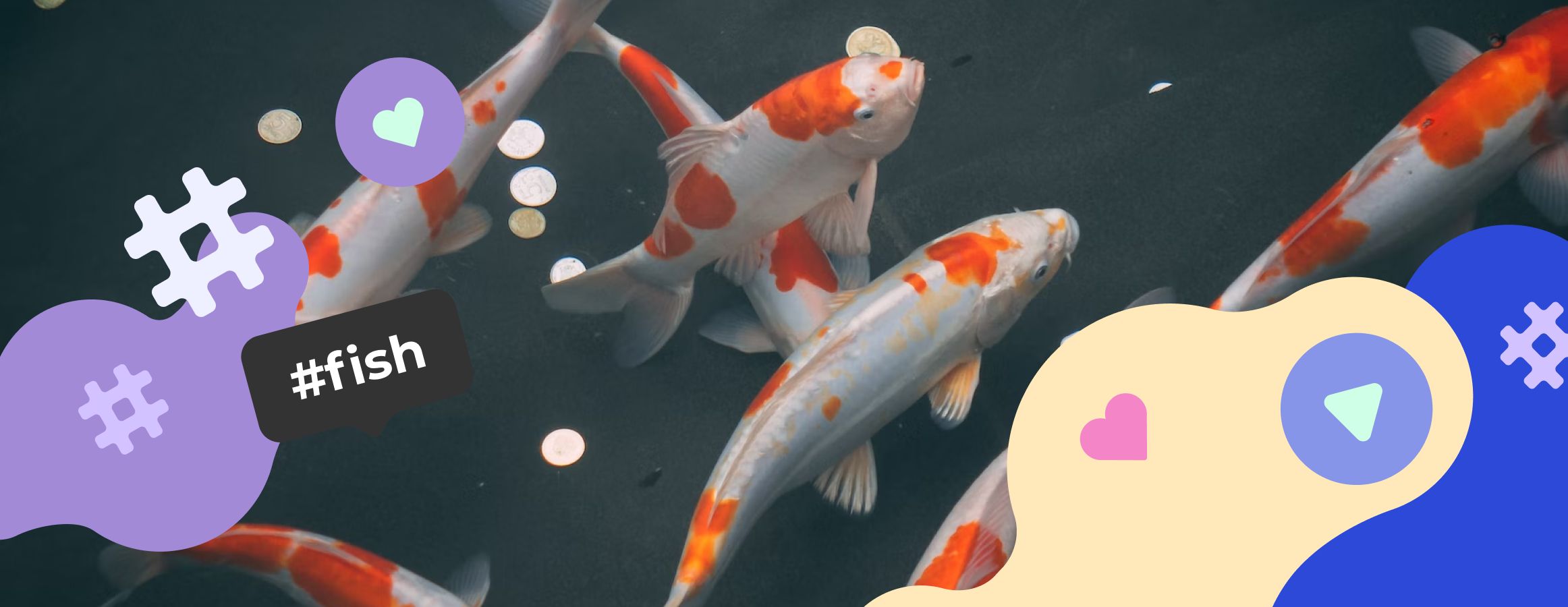 Fish hashtags